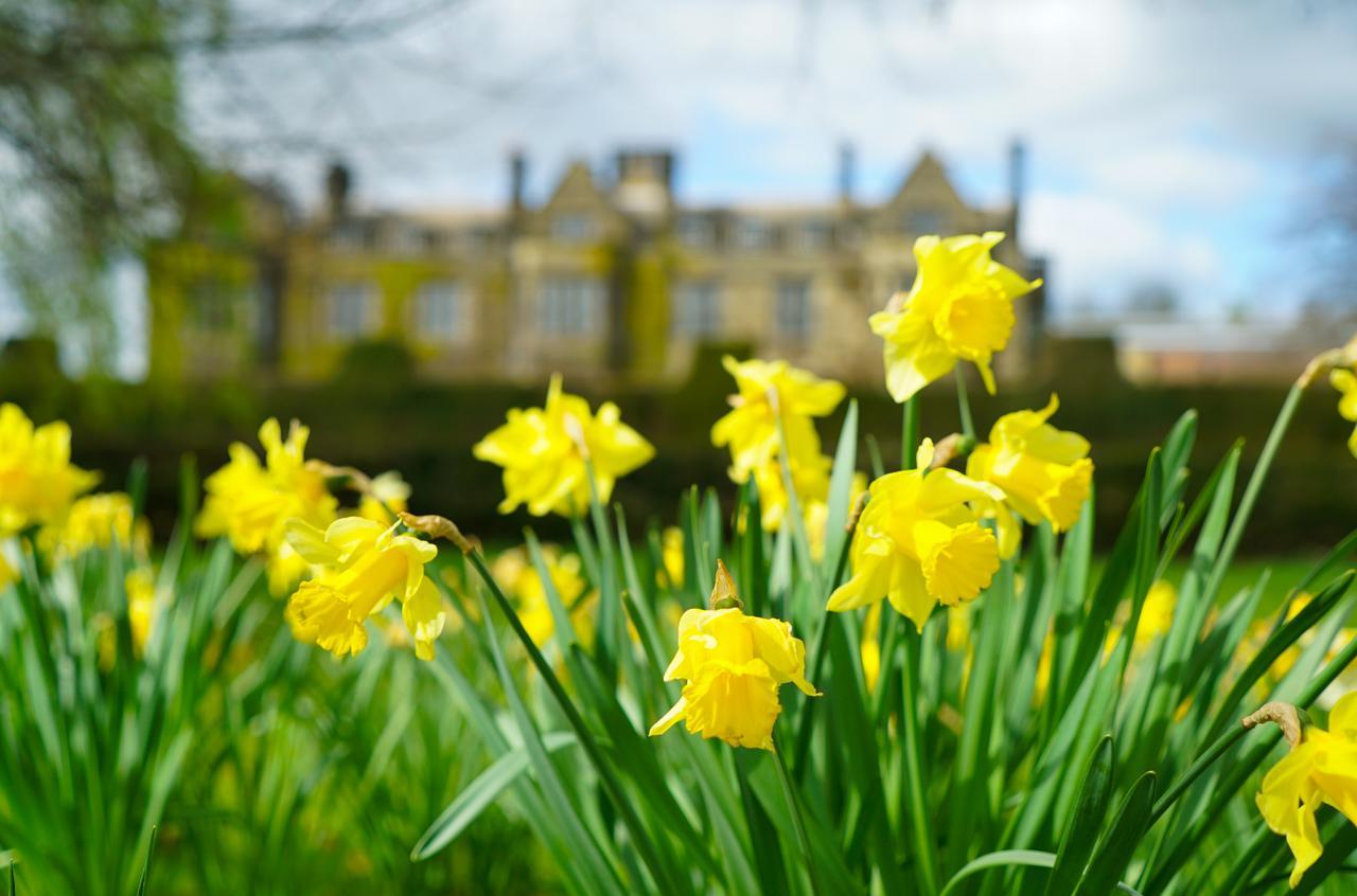 Gisborough Hall Hotel กีสบะระ ภายนอก รูปภาพ
